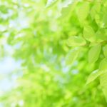 夏季休業のお知らせ（2025年度）