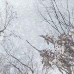 冬季休業のお知らせ